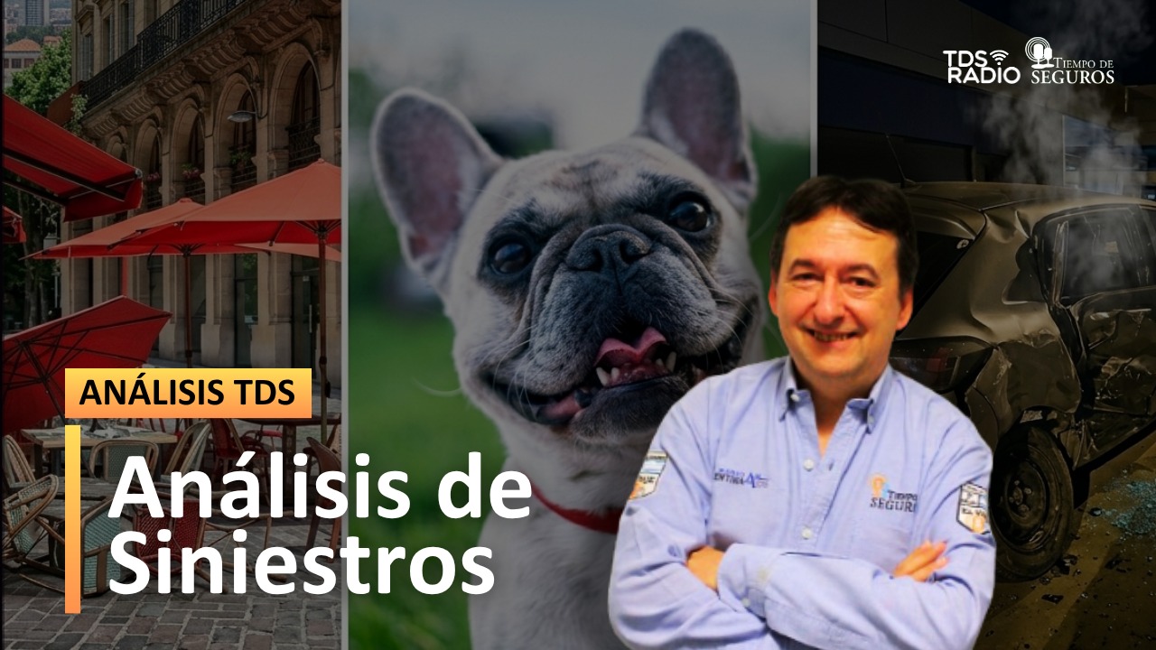 Todas las semanas conocemos interesantes fallos judiciales o casos de siniestros que merecen ser analizados, para conocer cómo actúan las coberturas de seguros disponibles en el mercado.